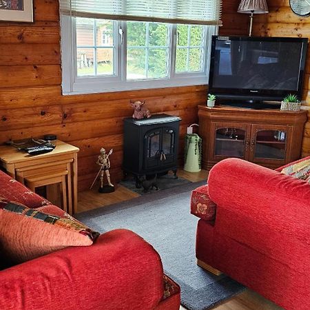 Snowdonia National Park Log Cabin With Garden Trawsfynydd Екстер'єр фото