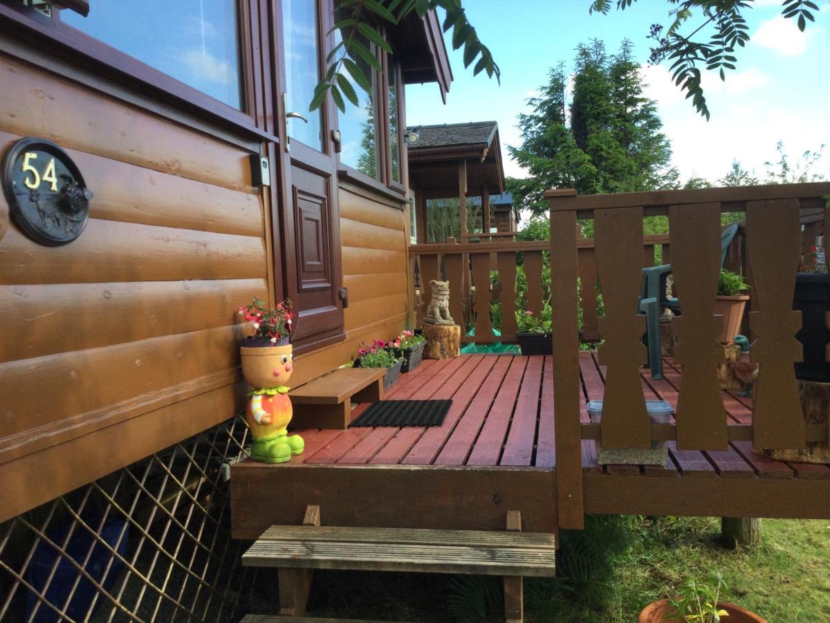 Snowdonia National Park Log Cabin With Garden Trawsfynydd Екстер'єр фото
