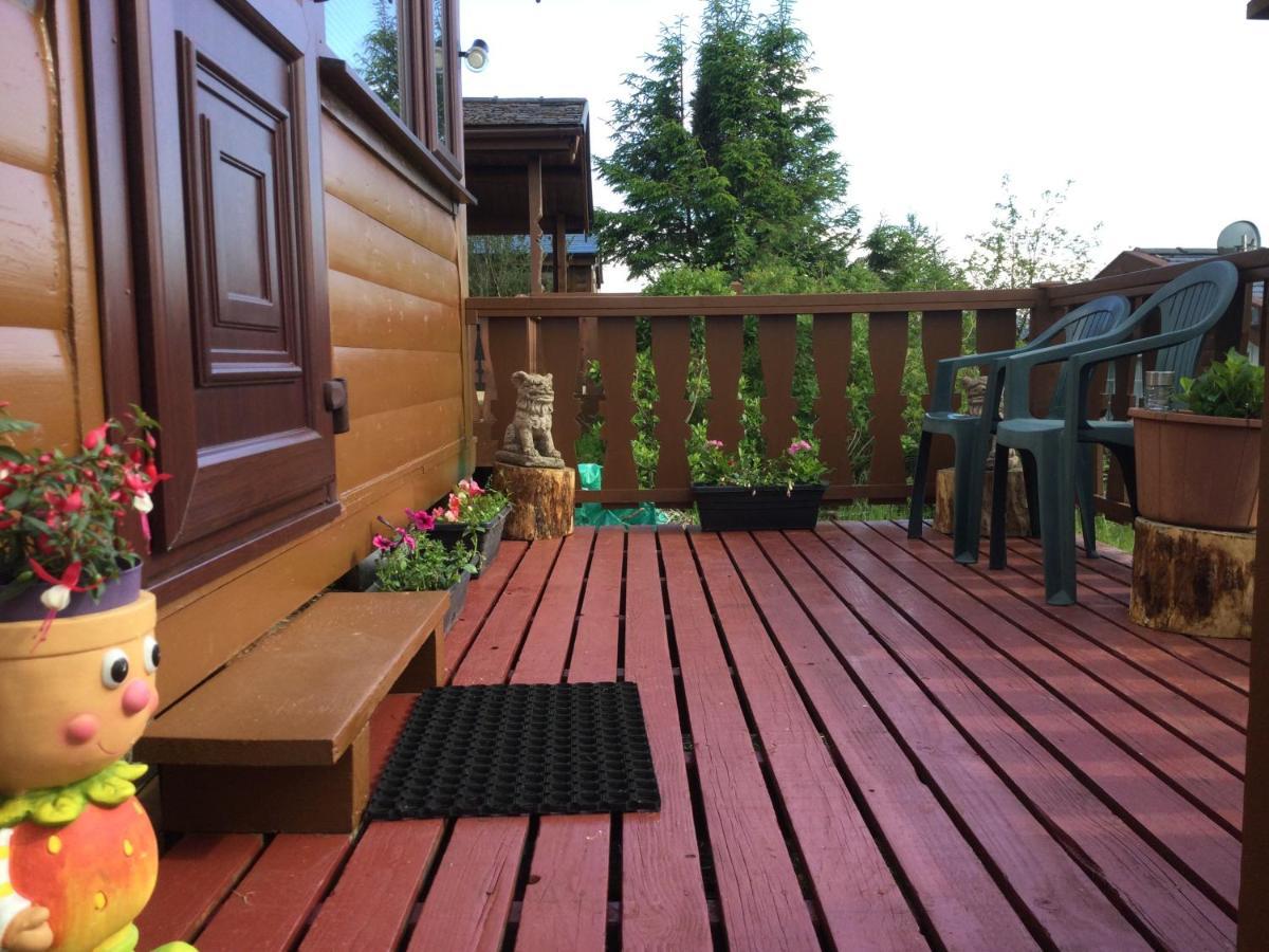 Snowdonia National Park Log Cabin With Garden Trawsfynydd Екстер'єр фото