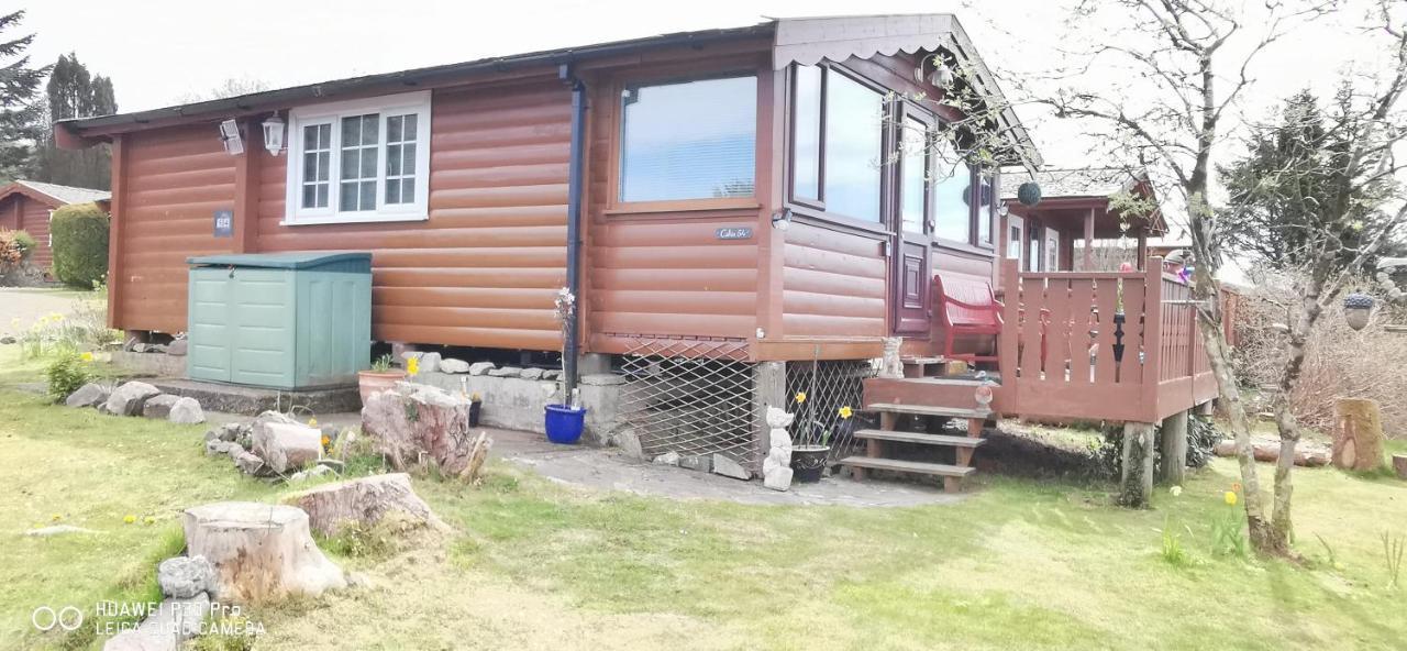 Snowdonia National Park Log Cabin With Garden Trawsfynydd Екстер'єр фото